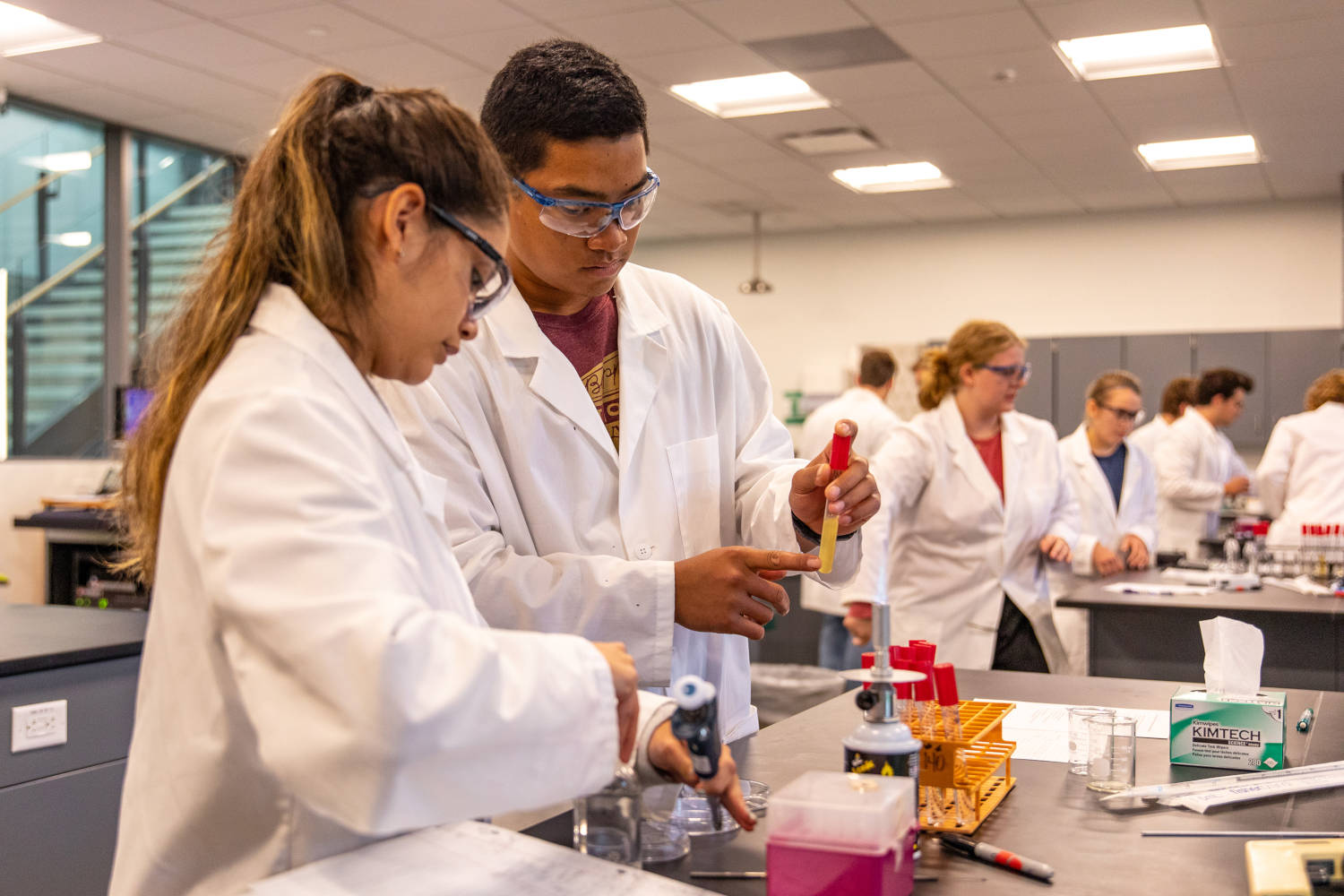 Saint Mary's University of Minnesota - Accelerated PA